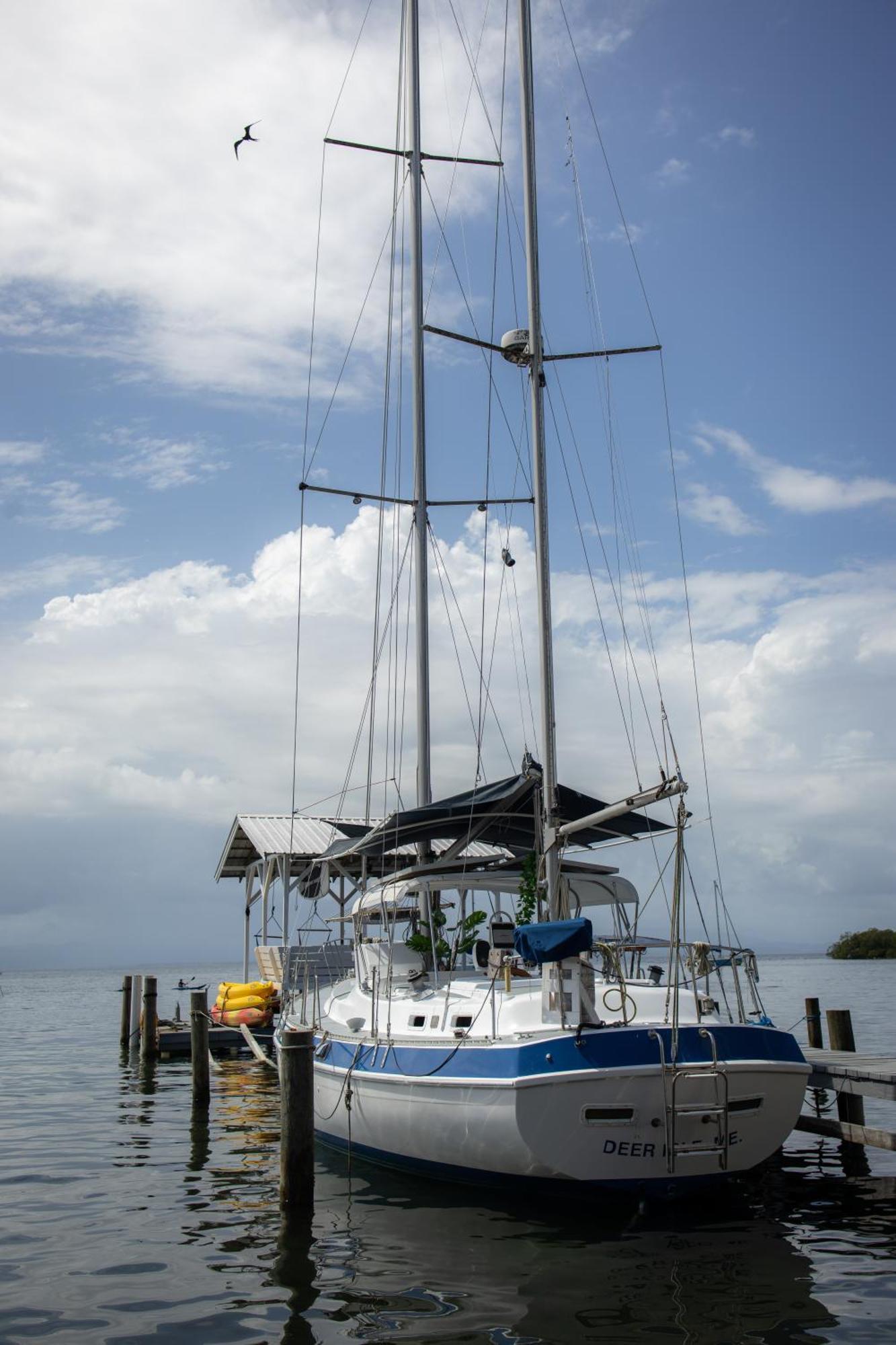 Santuarios Del Mar Lägenhet Bocas del Toro Exteriör bild